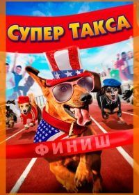 Супер Такса (2015) Wiener Dog Internationals