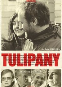 Тюльпаны (2004) Tulipany