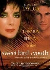 Сладкоголосая птица юности (1989) Sweet Bird of Youth