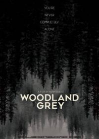 Серый лес (2022) Woodland Grey