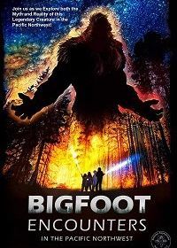 Встреча с йети на северо-западе (2021) Bigfoot Encounters in the Pacific Northwest