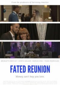Судьбоносная встреча (2022) Fated Reunion