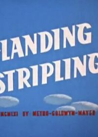 Желаем мягкой посадки (1962) Landing Stripling