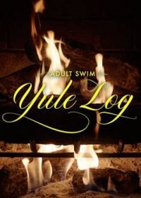 Прямая трансляция: рождественское полено (2022) Adult Swim Yule Log