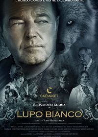 Белый волк (2022) Lupo Bianco