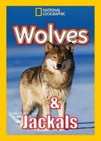 Дикие охотники. Волки и шакалы (2019) Wild Hunters. Wolves & Jackals