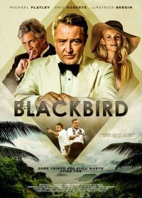 Чёрный дрозд (2022) Blackbird