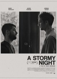 Бурная ночь (2020) A Stormy Night