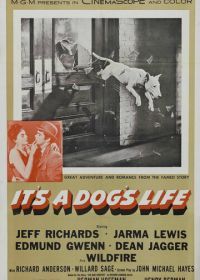 Жизнь собачья (1955) It's a Dog's Life