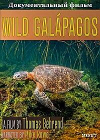 Дикие Галапагосы (2017) Wild Galapagos