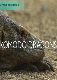 Драконы Комодо (2018) Komodo Dragons
