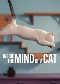Внутри разума кошки (2022) Inside the Mind of a Cat
