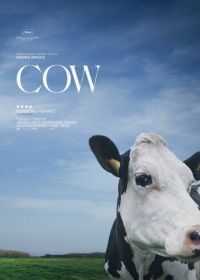 Корова (2021) Cow