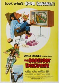 Босой руководитель (1971) The Barefoot Executive