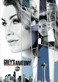 Анатомия страсти / Анатомия Грей (2005) Grey's Anatomy