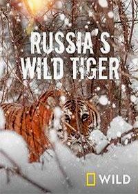 Дикие тигры России (2022) Russia's Wild Tiger