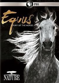 Эквус: История лошади (2018) Equus: Story of the Horse