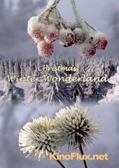 Подготовка к зимовке (2014) Christmas Winter Wonderland