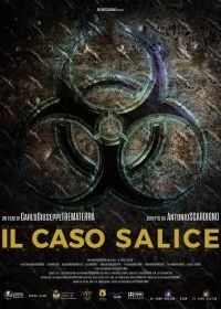 Дело Саличе (2020) Il caso Salice