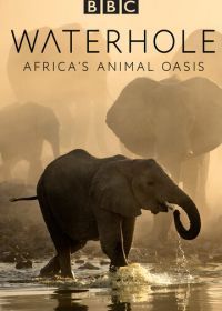 BBC. Водопой: Африканский Оазис для Животных (2020) Waterhole: Africa's Animal Oasis