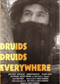 Друиды. Друиды повсюду (2020) Druids Druids Everywhere