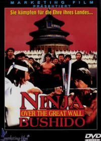 Ниндзя на Великой стене (1987) Long huo chang cheng