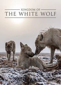 Королевство белого волка (2019) Kingdom of The White Wolf