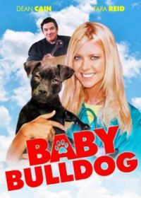 Малыш бульдог (2020) Baby Bulldog