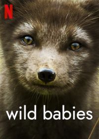 Детки не в клетке (2022) Wild Babies