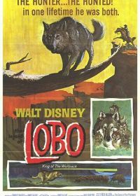 Легенда о Лобо (1962) The Legend of Lobo