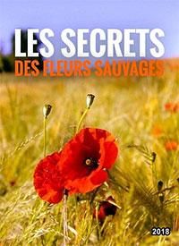 Тайны полевых цветов (2018) Les secrets des fleurs sauvages