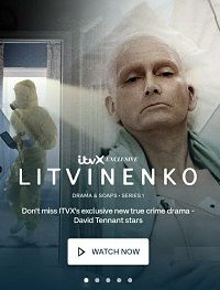 Литвиненко (2022) Litvinenko