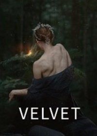 Бархат (2021) Velvet