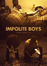 Несносные парни (2021) Impolite Boys