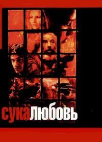 Сука-любовь (2000) Amores perros