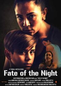 Судьбоносная ночь (2022) Fate of the Night