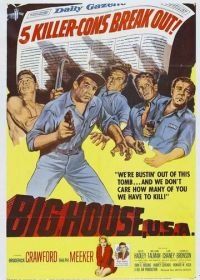 Большой дом (1955) Big House, U.S.A.