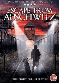 Побег из Освенцима (2020) The Escape from Auschwitz