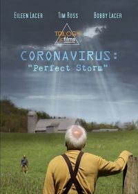 Коронавирус: Идеальный шторм (2020) Coronavirus: Perfect Storm