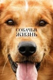 Собачья жизнь (2017) A Dog's Purpose