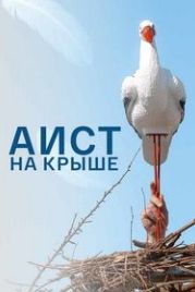 Аист на крыше (2021)