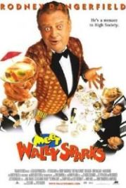 Познакомьтесь с Уолли Спарксом (1996) Meet Wally Sparks