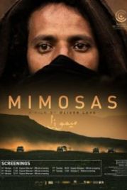 Мимозы (2016) Mimosas
