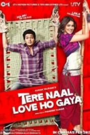 Чувствую любовь к тебе (2012) Tere Naal Love Ho Gaya
