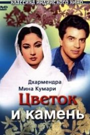 Цветок и камень (1966) Phool Aur Patthar