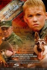 Путевка в жизнь (2013)