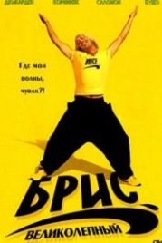 Брис Великолепный (2005) Brice de Nice