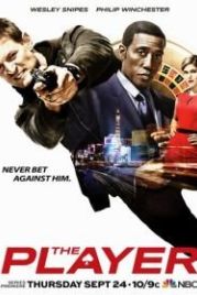 Игрок (2015) The Player