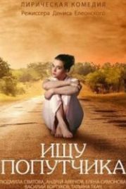 Ищу попутчика (2013)