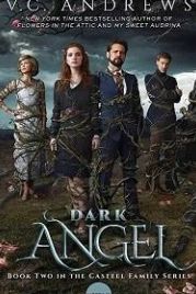 Тёмный Ангел (2019) Dark Angel